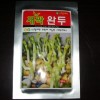 완두콩새싹씨