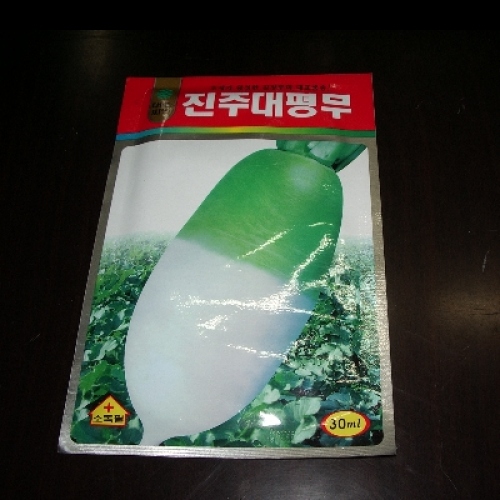 일진무